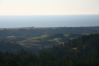 View from Gazos trail, Butano photo