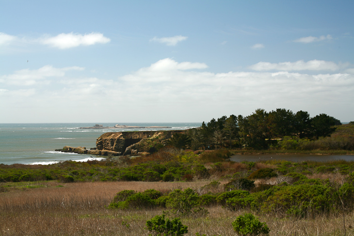 Año Nuevo, Dave's Trip West photo