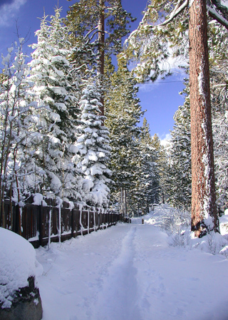 Path to Speedboat Road, Dave's Trip West photo