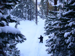 Dave in the Sierra Nevada