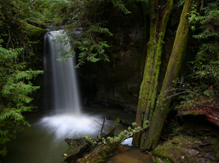 Sempervirens Falls, Dave's Trip West photo