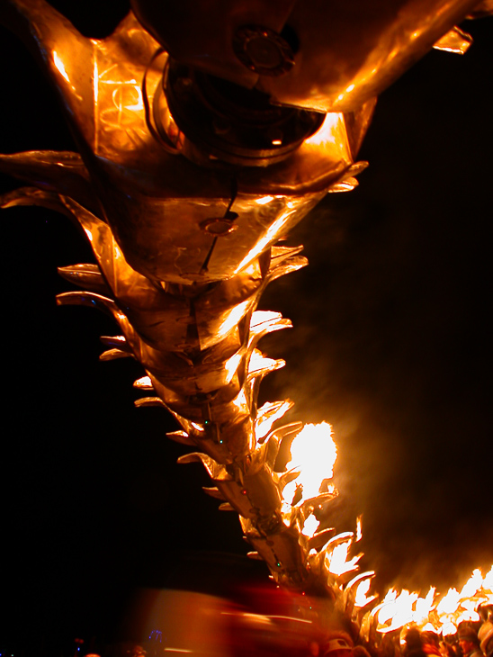 The Serpent, Burning Man photo