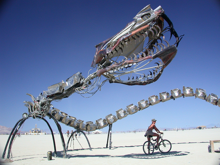 Burning Man photo