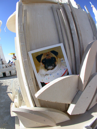 Burning Man photo