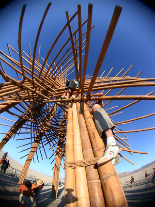 Burning Man photo