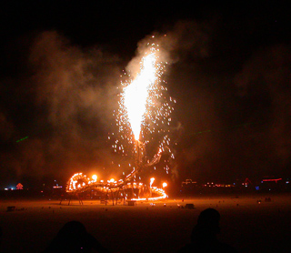 Burning Man photo