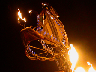 Burning Man photo