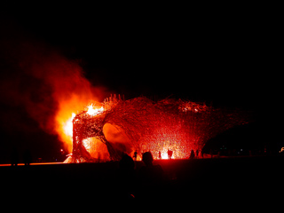 Burning Man photo