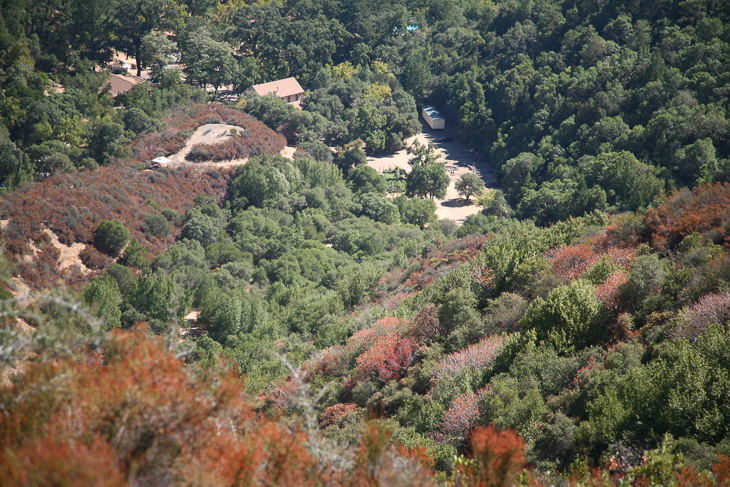 View From the Trail, Brett and Caitlin's Wedding photo