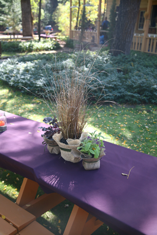 Table Setting, Brett and Caitlin's Wedding photo