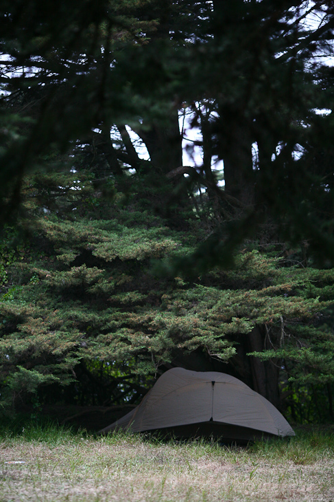 My Tent, Rob Hill Campground photo