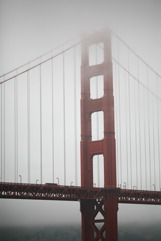 Bridge in the fog, Rob Hill Campground photo