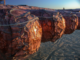 Copper Foot Car, Burning Man photo