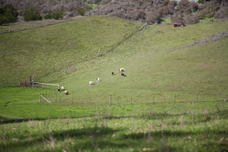 Slide Ranch, Owl Trail photo