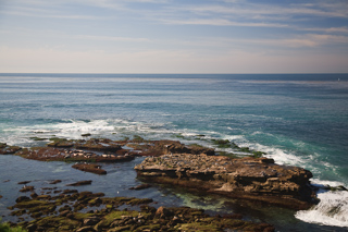 Sea Lions off La Jolla Cove, San Diego photo