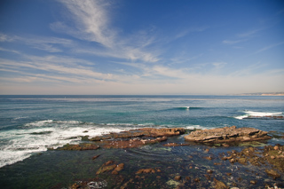 Sea Lions off La Jolla Cove, San Diego photo