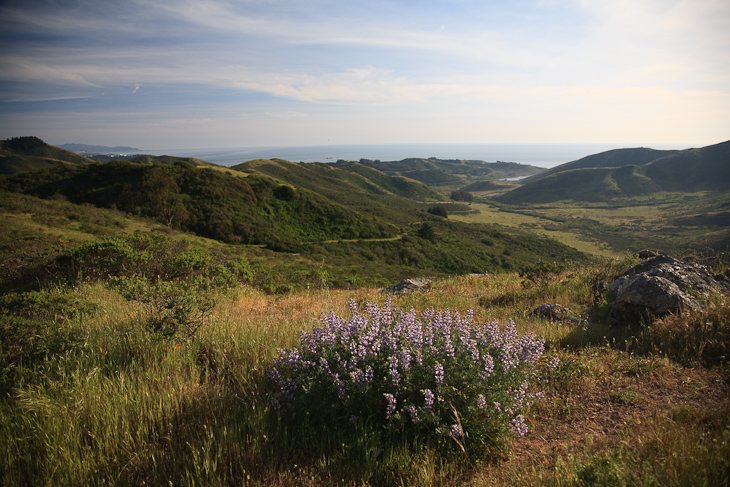 View Down Into Gerbode Valley, Wolfback Ridge and Cutoff photo