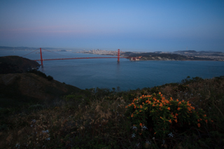 Hawk Hill, Golden Gate Bridge photo