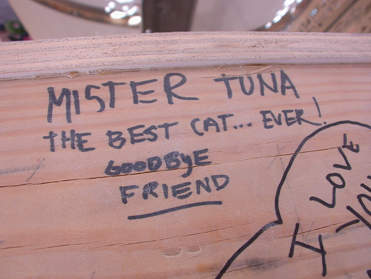 Mister Tuna, Burning Man photo