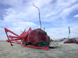 Playa Roaches, Burning Man photo