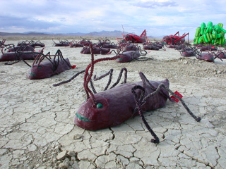 Playa Roaches, Burning Man photo