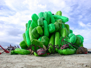 Playa Roaches Hatching, Burning Man photo