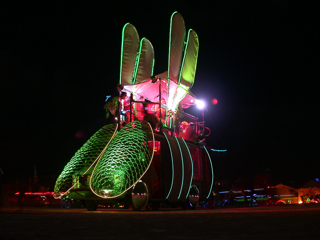 Bug Eyes, Burning Man photo