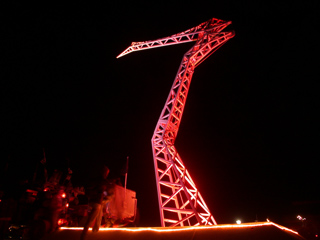 Bird Neck Crane, Burning Man photo