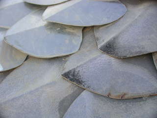 Dragon Scales, Burning Man photo