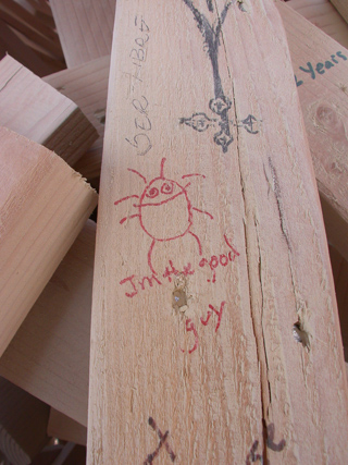 The Good Guy, Burning Man photo