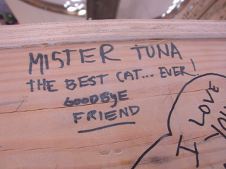 Mister Tuna, Burning Man photo