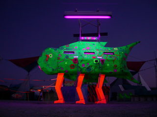 Ichthytude, Burning Man photo