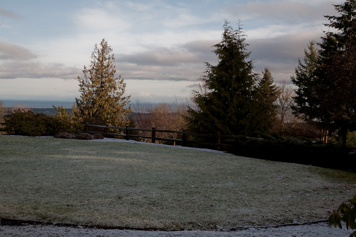 Snow on the Back Lawn, Sequim photo