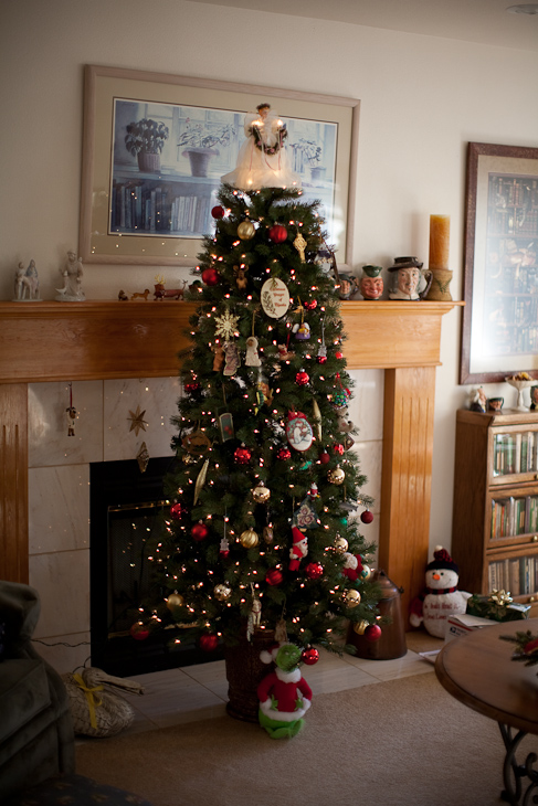 Christmas Tree, Sequim photo
