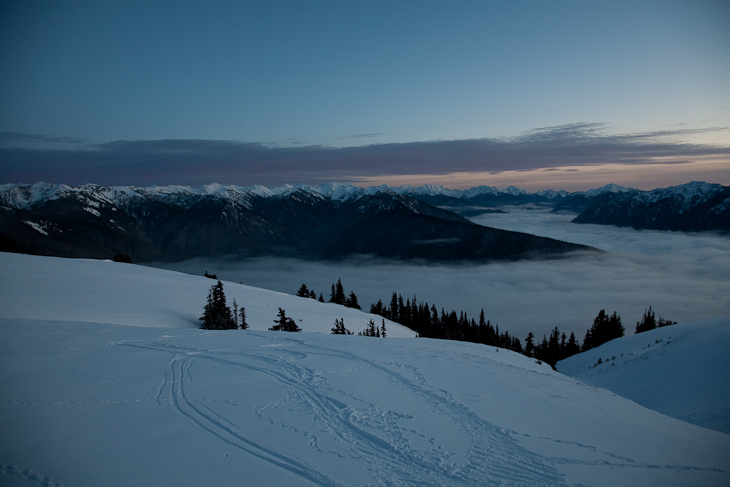 Hurricane Ridge Visitor Center, Olympic National Park photo