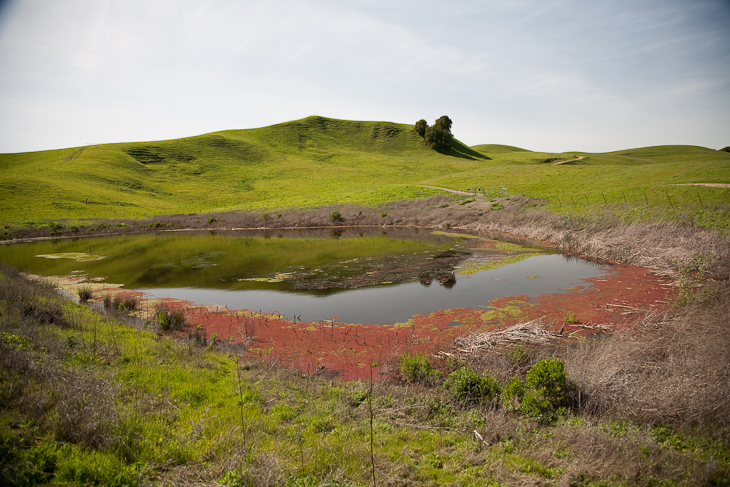 Southern Sindicich Lagoon, Briones photo