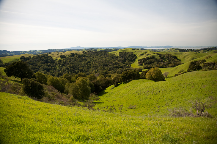 Rolling Hills of Briones, Briones photo