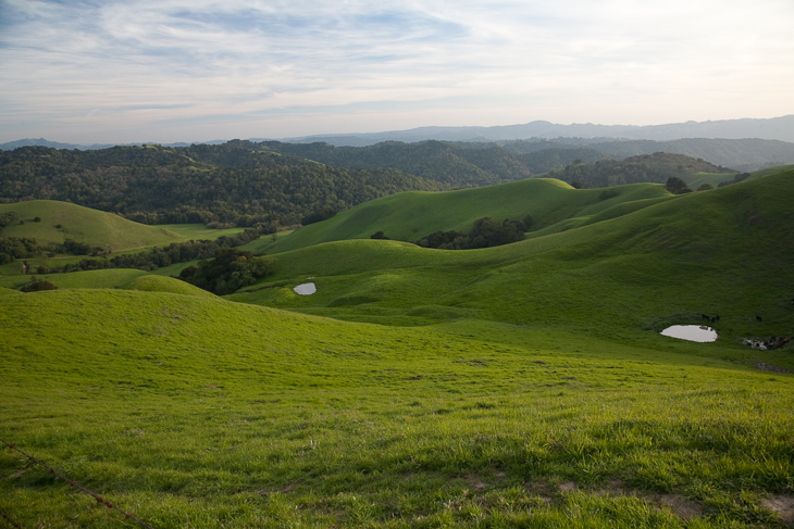 Bear Creek Valley, Briones photo