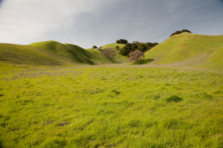 Valley Floor, Briones photo