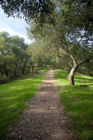 Briones Crest Trail, Briones photo