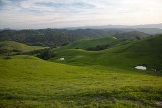 Bear Creek Valley, Briones photo