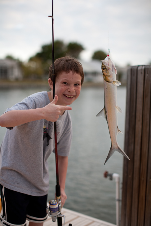 Sean's Catch, Marco Island photo