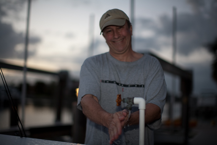 Buck, Marco Island photo