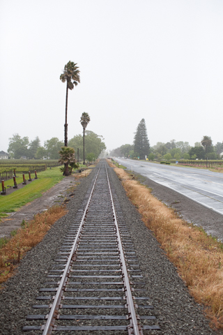 Wine Train Tracks, Joe In San Francisco photo