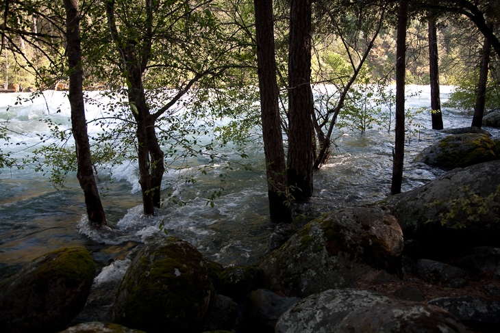 High Water, Wildcat Recon photo