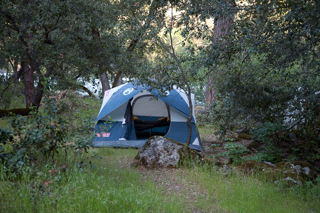 My Tent, Wildcat Recon photo
