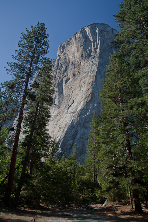 El Capitan, Yosemite photo