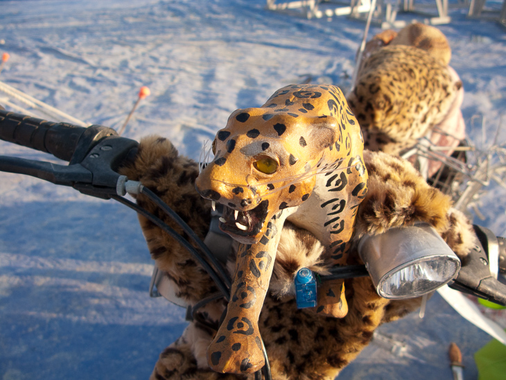 Leopard, Burning Man photo