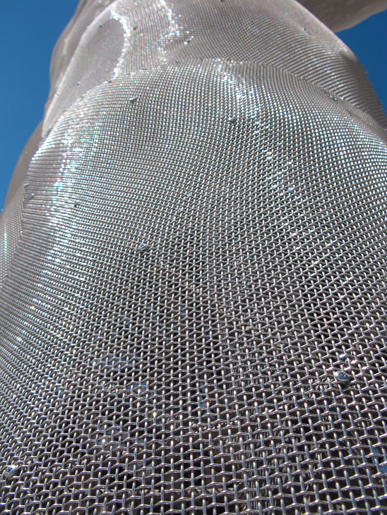 Steel Mesh Skin, Burning Man photo