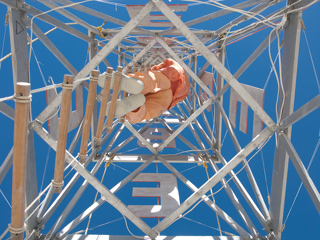 Ham Climbing the Tower, Burning Man photo
